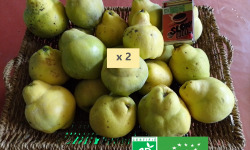 LES JARDINS DE KARINE - Coing frais - 10kg