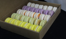 Les Macarondises - 35 Macarons Saveur d'hiver