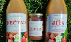 Massot Delphine et Garrigue Marc - Lot 3 Pur jus BIO + 4 Nectar BIO + 6 Confitures BIO