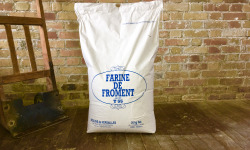 Moulins de Versailles - Farine De Froment T55 Corde Blanche - 25kg