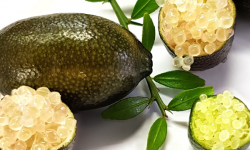 Ferme Les Jardines - Citron Caviar Sunshine Yellow Bio
