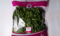 Les Herbes du Roussillon - Basilic Frais - 500g