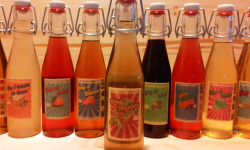 Les Vergers de la Vautée - Sirop d'Angélique 25cl