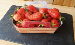 Gourmets de l'Ouest - Fraises de Saint-Malo - barquette 500g