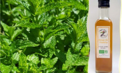 L'Agricueilleur du Suzon - Sirop de Menthe BIO - 50cl
