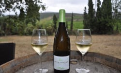 Mas De La Devèze - Côte du Roussillon AOP - Malice Blanc 2019