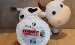 Fromagerie du Pichet - Camembert 250g