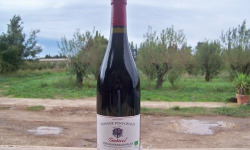 Domaine Pons Gralet - Vin Rouge IGP - AOP Cotes du Roussillon Villages Tautavel 2023 Bio x3