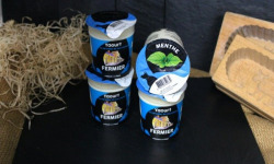 Ferme du Sire de Créquy - Yaourt infusé - Menthe x12