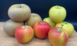 La Ferme des Prun'Elles - Lot Pommes du verger-8 kg-à croquer, cuisiner et partager