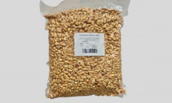 Les Tchanqués - Cacahuètes d'Aquitaine Torréfiées Blanchies Non Salées 5kg x 2