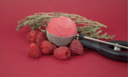 Sÿba - Glaces végétales - Sorbet Framboise thym - 2x2,5L
