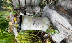 L’Oliveraie du Coudon - PETITS OIGNONS 290GR