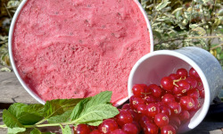 O Maribelle - Sorbet Groseille Menthée BIO 1 litre