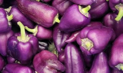 ChâteauFer - Piment - Paprika 200g
