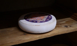 Alléosse Maitre Artisan Affineur Fromager - Morbier du Jura AOP au lait cru