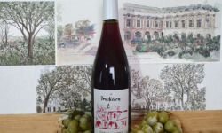 Cave Creuzet - Les Caves aux Caux - AOC Coteaux du Vendômois Rouge "Tradition" 2024 - Lot de 6