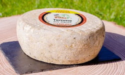 Fromagerie Saint Goal - Tomme de chèvre - algues - 3 kg