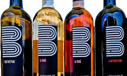 Domaine de Bonnefil - Coffret découverte 6 bouteilles