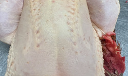 Ferme de la Paumerais - POULET DE LA FERME - 1,7 Kg (3 poulets)
