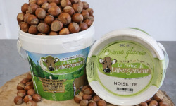 La Ferme de Labergement - Crème glacée 500 ml Noisette