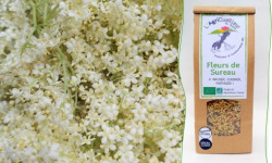 L'Agricueilleur du Suzon - Fleurs de Sureau BIO