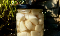 L’Oliveraie du Coudon - AIL MARINÉ  180gr ( ail confit et vinaigre )