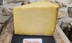 Lou Canesteou - Cantal AOP entre deux 1kg