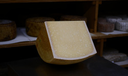 Alléosse Maitre Artisan Affineur Fromager - Parmigiano Reggiano Vache rouge 40 mois  au lait cru DOP 500g