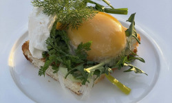 Des Poules et des Vignes à Bourgueil - Jaune d’oeuf d’oie fumé (x8)