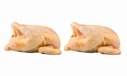Ferme de Vertessec - Lot 2 Poulettes de Vertessec 3,6kg