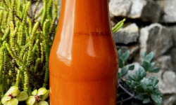 L’Oliveraie du Coudon - SAUCE SALSA BRAVA