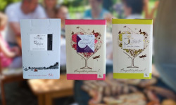 Domaine de la Chopinière du Roy - BIB les essentiels – Lot de 3 bag in box différents (Vin Rouge, Rosé, Blanc) – 3 x 5 Litres