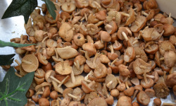 Trapon Champignons - Mousserons des prés