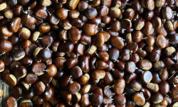 Lou Codou, microferme du Caillou - [Précommande] Châtaigne fraiches - 5kg