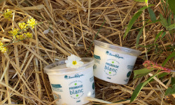 FermOgout - Fromage Blanc Lissé 500g Onctueux x2