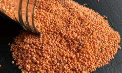 La Ferme du Joyeux Laboureur - Lentilles corail décortiquées en vrac 1kg
