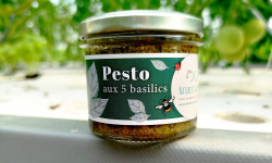 Nature et Saveurs - Ferme Aquaponique et Permacole Astérienne - Pesto Aux 5 Basilics