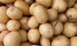 Domaine Reverchon - Pomme de Terre Grenaille 3Kg