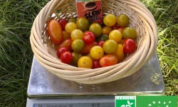 LES JARDINS DE KARINE - Tomates cerises en mélange - 500g