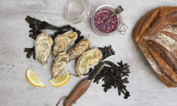 Les Huîtres du Père Gus - Huître spéciale -  La Gourmande  numéro 3 (moyennes) x 15 kg