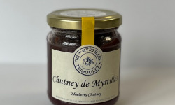 Myrtilles du Trimoulet - ANTI-GASPI: Chutney Myrtilles