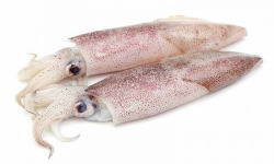 Poissonnerie La Piriacaise - encornet entiers non nettoyés