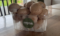 Mysa - Champignons de Paris bruns 1kg