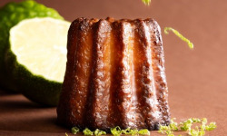 Canelés Louis SCHRAMM - Canelés Combava x8