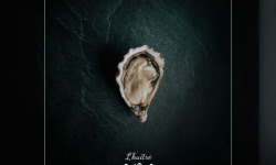 Huîtres Poget - Huîtres Spéciales l’Exquise n°4 x24