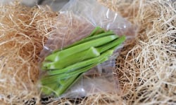 Les Jardins de Gérard - Céleri branche sous-vide - 250 g