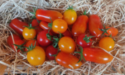 Les Jardins de Gérard - Tomate cerise méli-mélo Bio - 1 kg