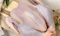 La Ferme Durbois - [Précommande] Poularde de NOEL- 2,3Kg