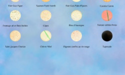 Les Macarondises - 420 macarons sucrés-salés (1 à 12 parfums au choix)